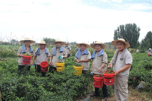 1689584471793424.jpg ce14cb6ea7ff3ac48d021d7e67fd682_Jc.jpg