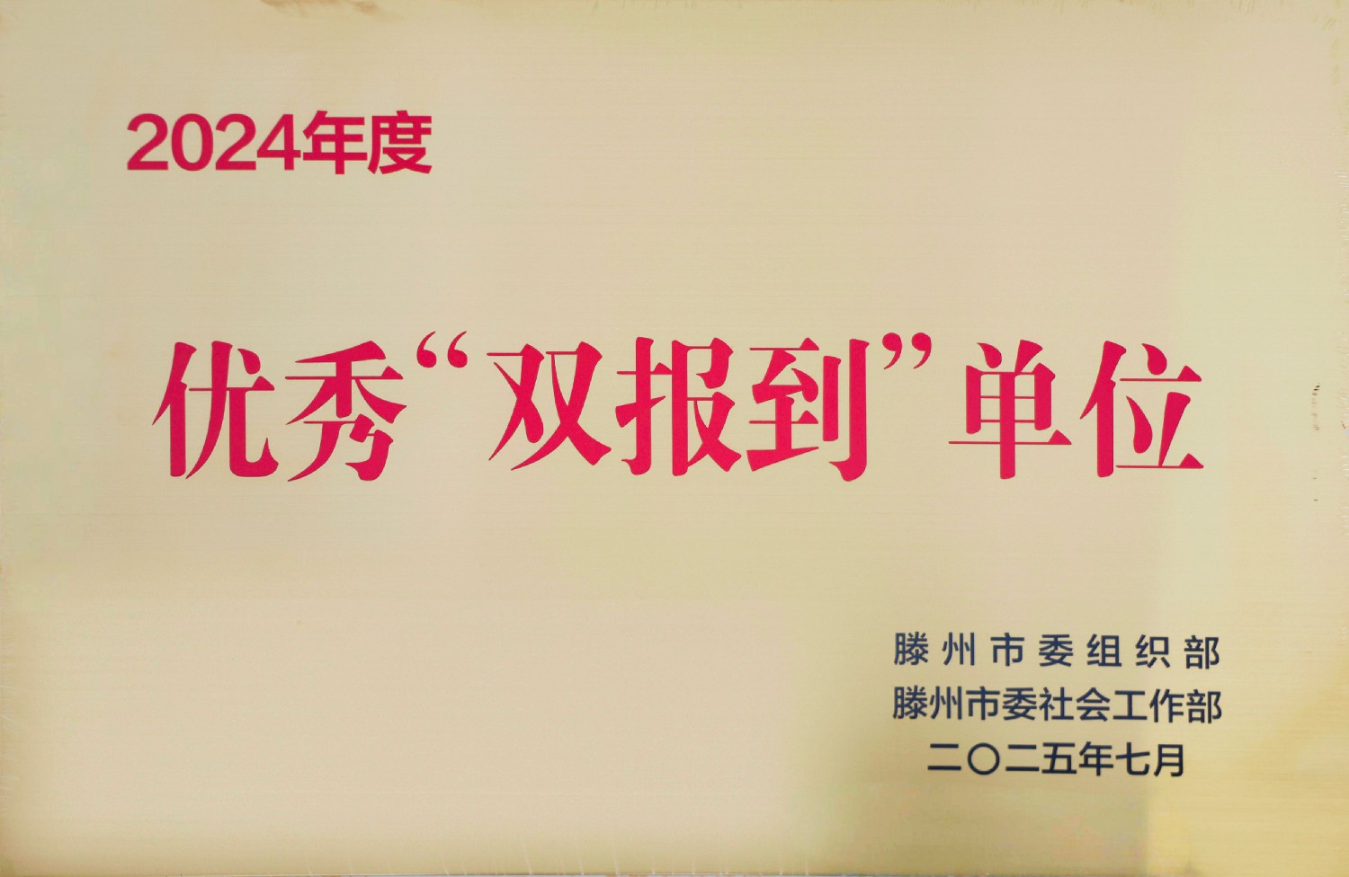 集團榮獲優(yōu)秀“雙報到”單位稱號